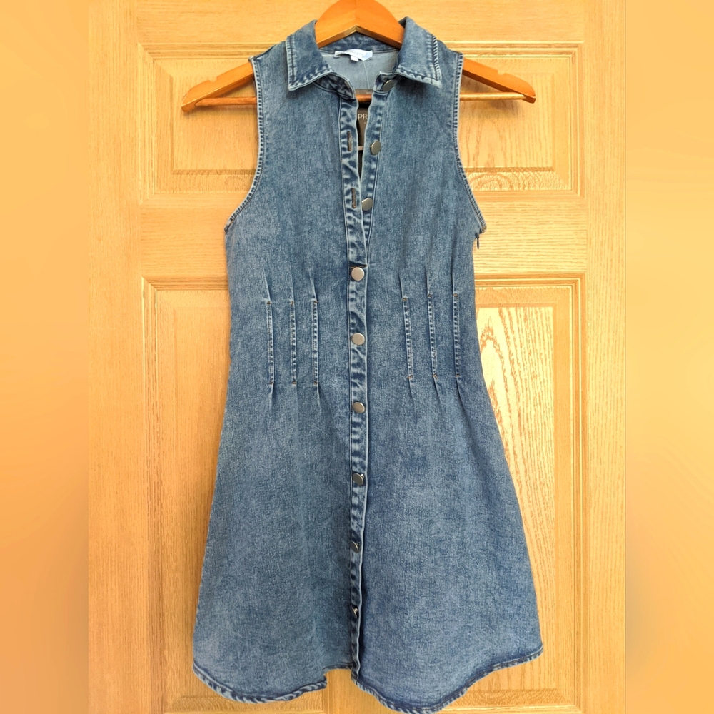 Boutique Denim Mini Dress